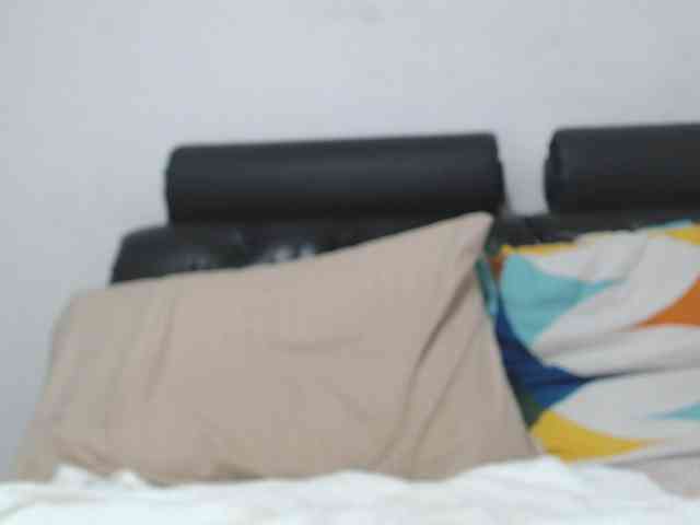 saaramilleer webcam