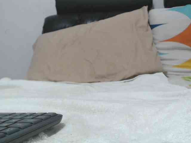 saaramilleer webcam