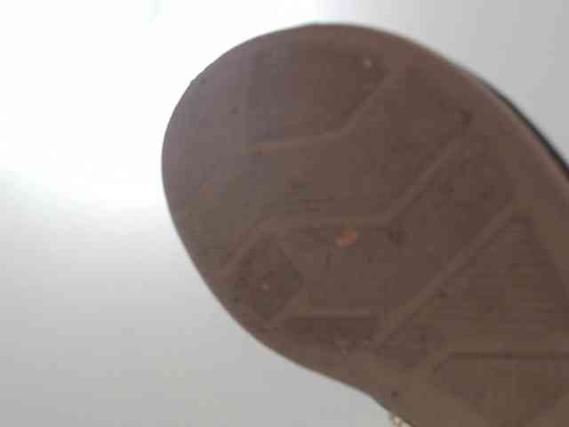 saaramilleer webcam