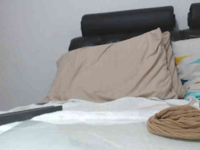 saaramilleer webcam