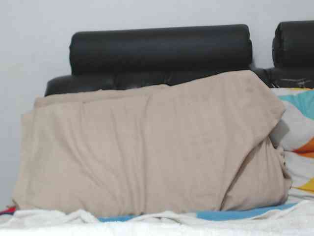 saaramilleer webcam