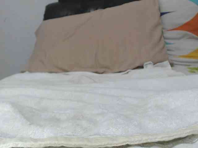 saaramilleer webcam