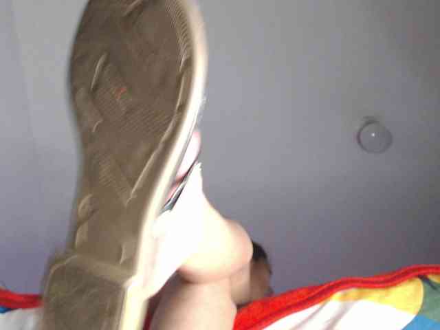 saaramilleer webcam