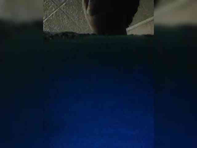AthomeTi webcam