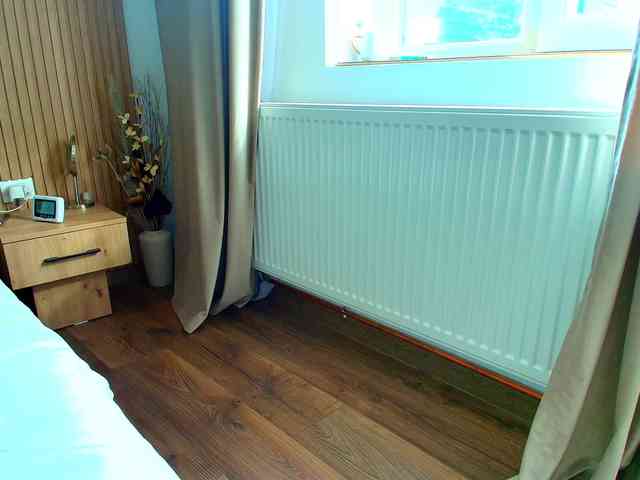 roses-dream webcam