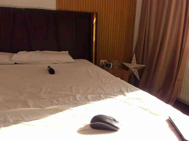 roses-dream roses-dream