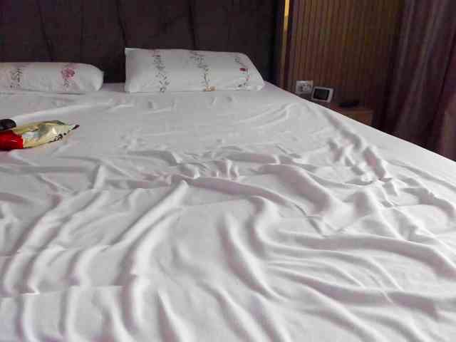 roses-dream roses-dream