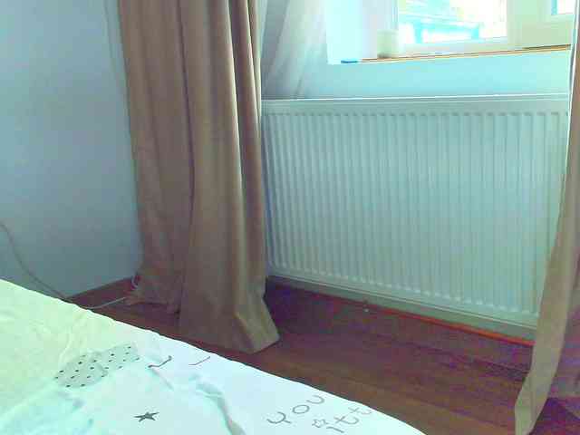 roses-dream webcam