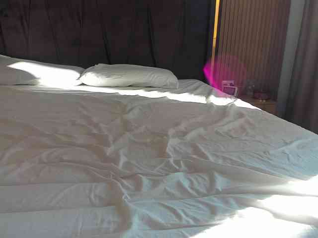 roses-dream roses-dream