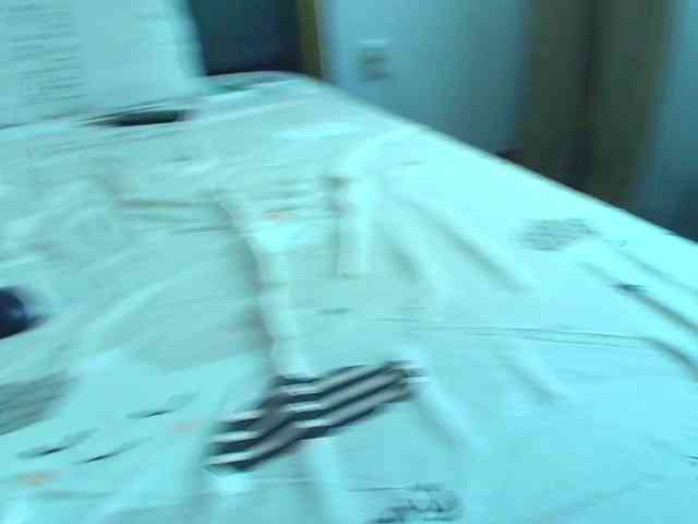 roses-dream webcam
