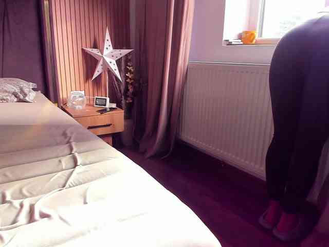 roses-dream roses-dream