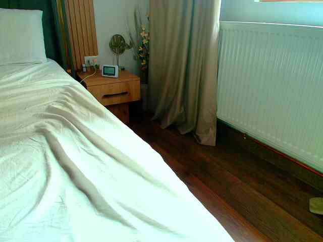 roses-dream webcam