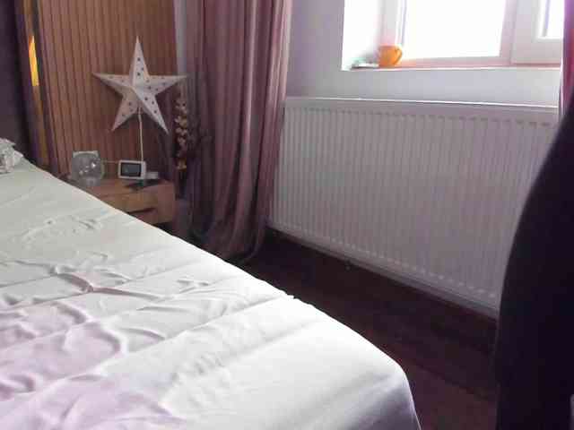 roses-dream roses-dream