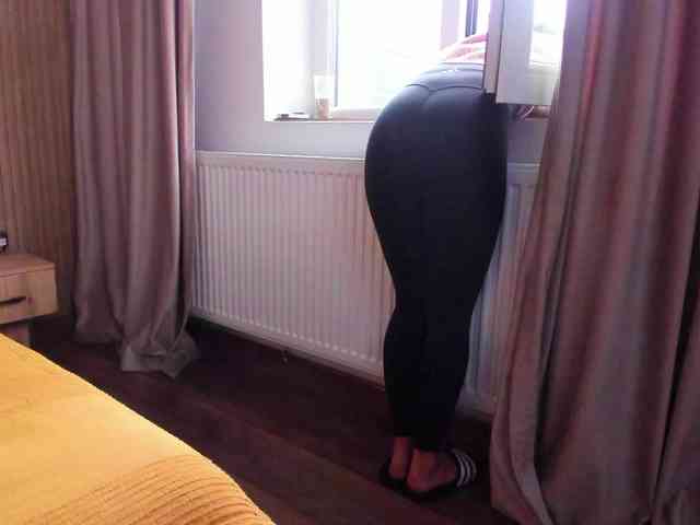 roses-dream roses-dream