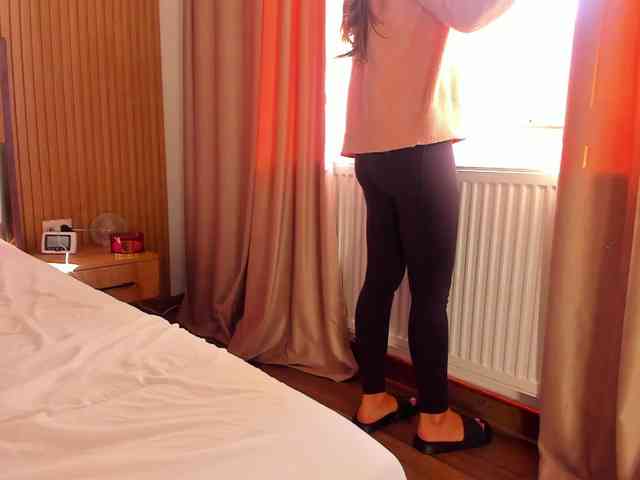 roses-dream roses-dream