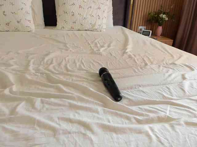 roses-dream roses-dream