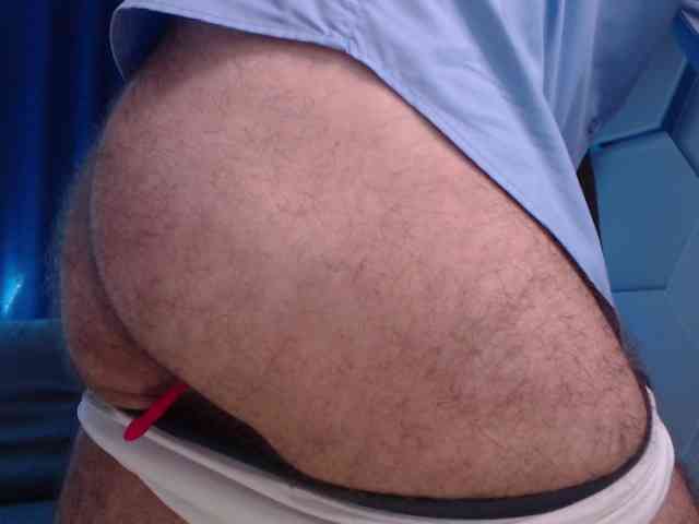 SteveTiger SteveTiger