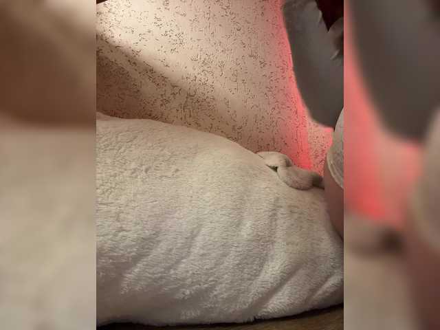 LittleDelora's BongaCams show and profile