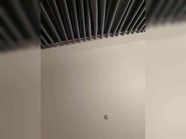 best video chat LittleDelora