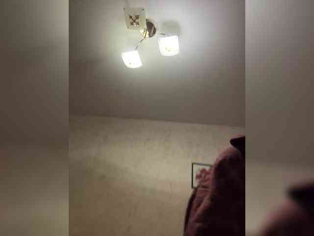 LittleDelora LittleDelora