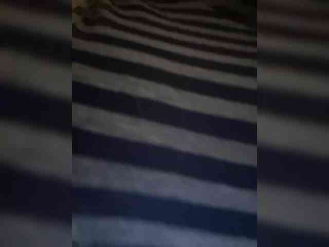 live cam feed LittleDelora
