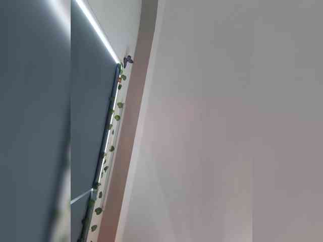 LittleDelora's webcam live show