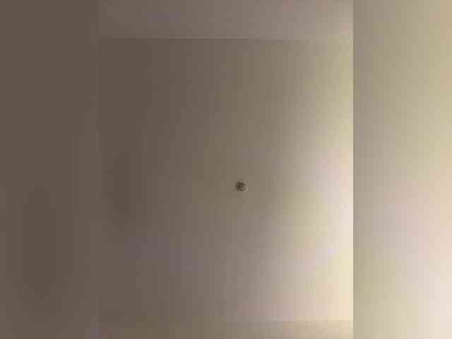 LittleDelora webcam