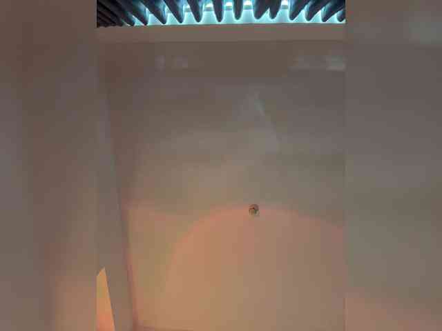 LittleDelora webcam