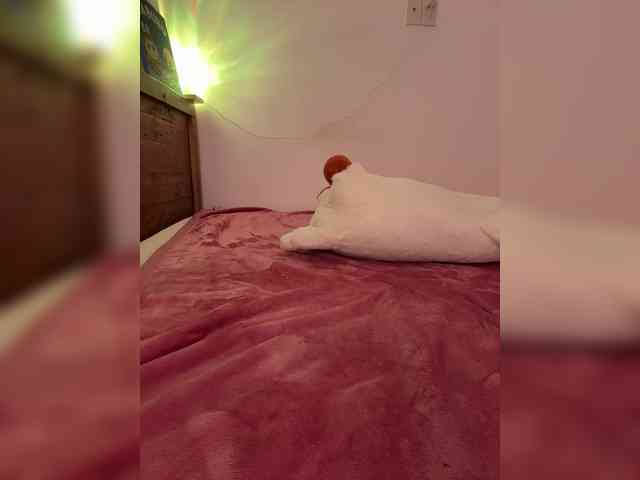 LittleDelora webcam