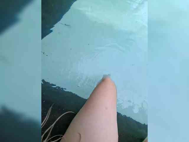LittleDelora webcam