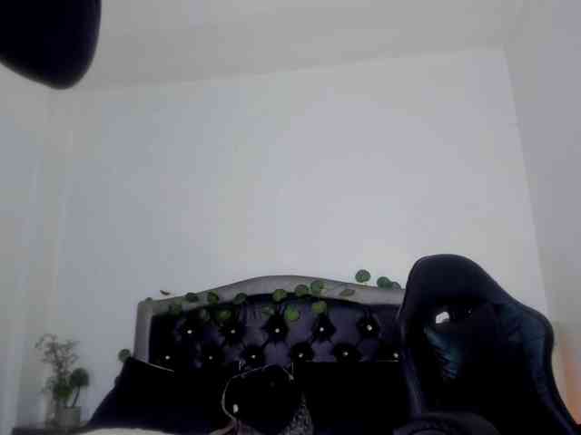 Ellie-Alves webcam