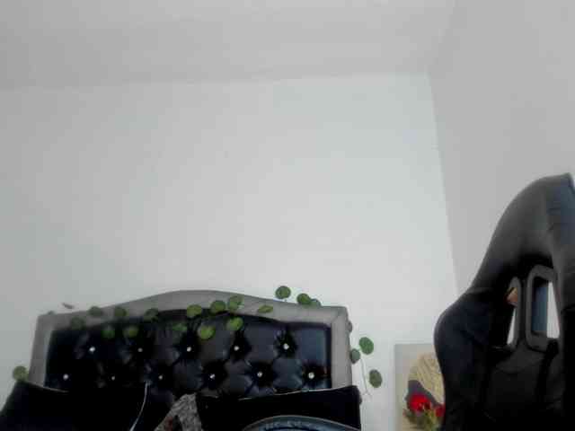 Ellie-Alves webcam