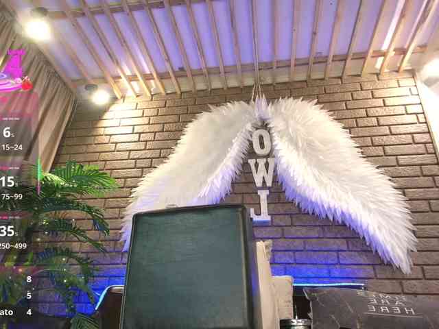 nickyowl webcam