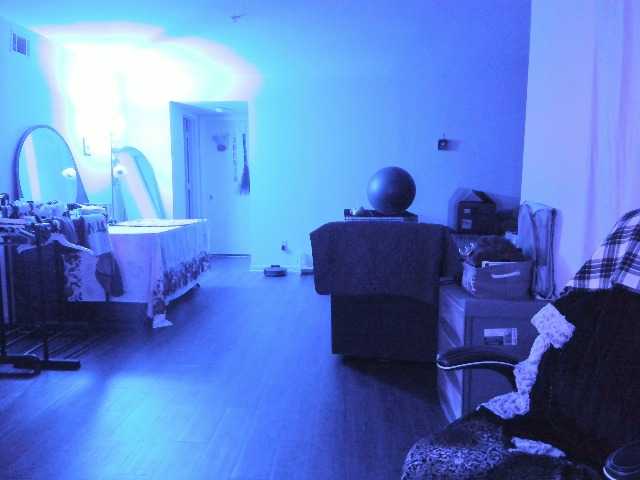 Preview of bellabloom