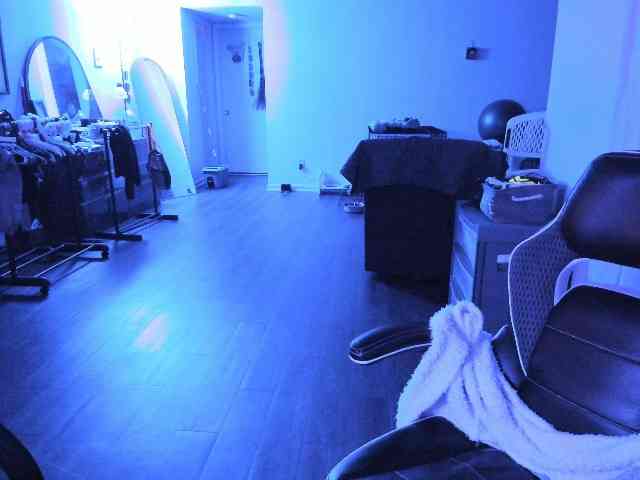BellaBloom webcam