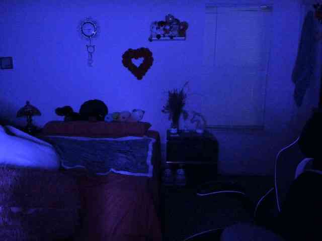 BellaBloom webcam