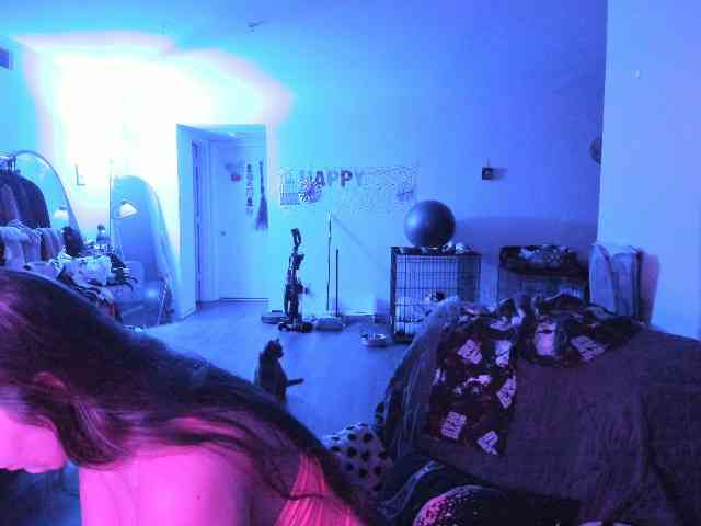 BellaBloom webcam
