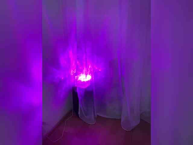 Alisia_Purr webcam