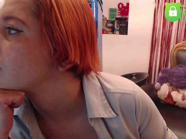 evatwiss webcam