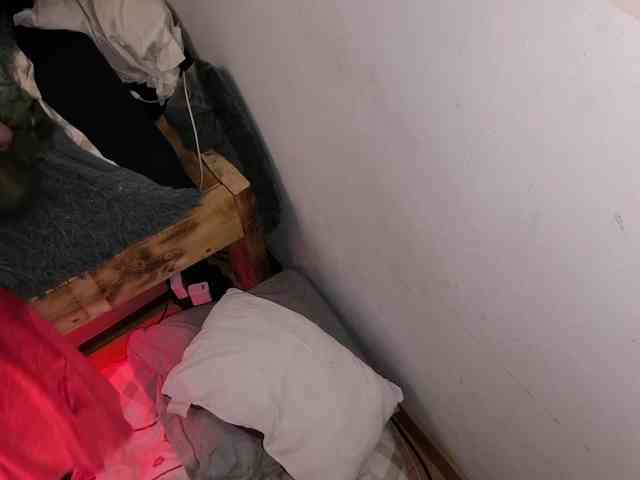 AllHolesLoveGirl webcam