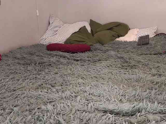 AllHolesLoveGirl webcam