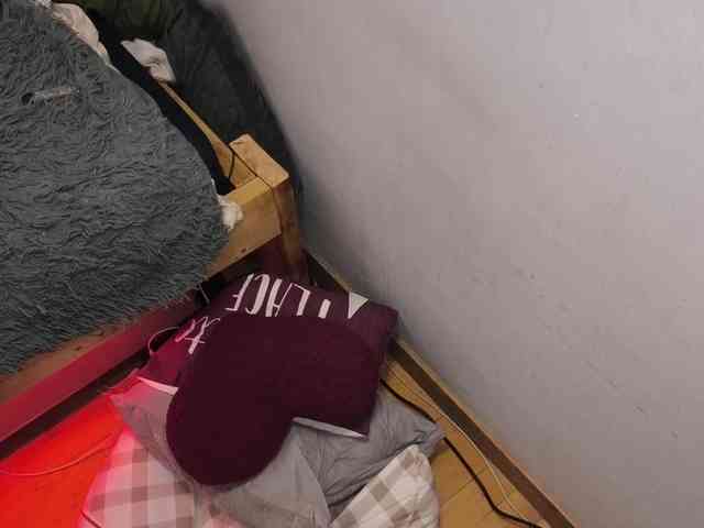 AllHolesLoveGirl webcam