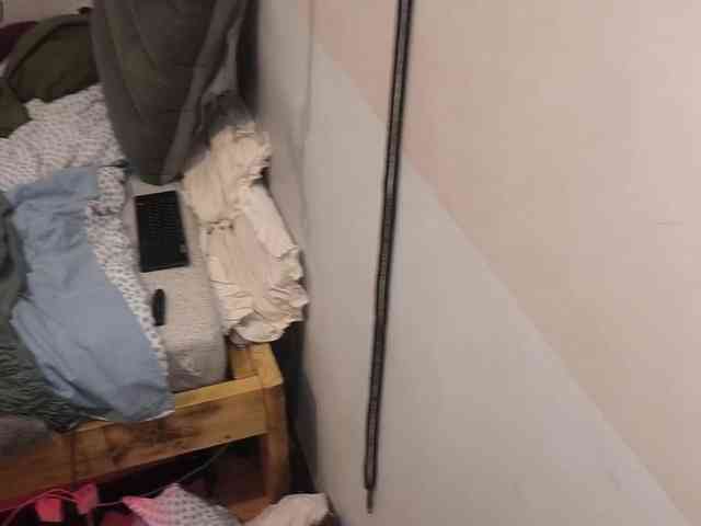 AllHolesLoveGirl webcam