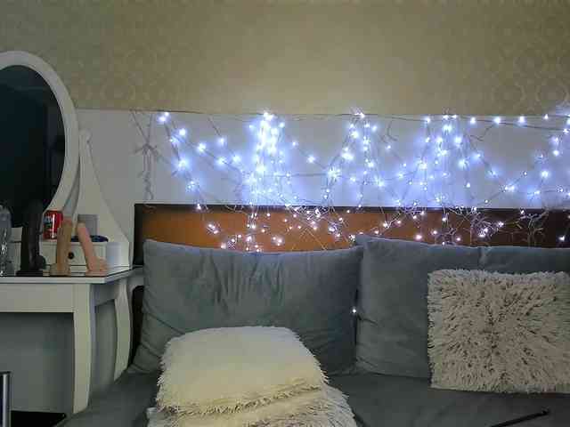 MiaBeeX webcam