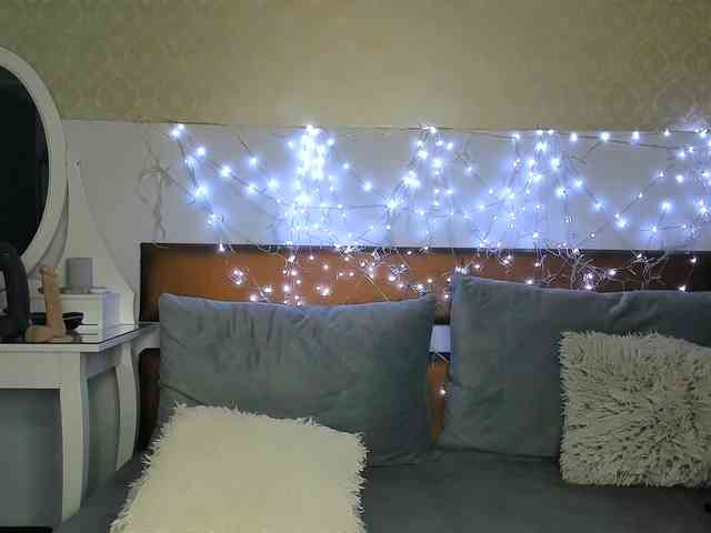 MiaBeeX webcam