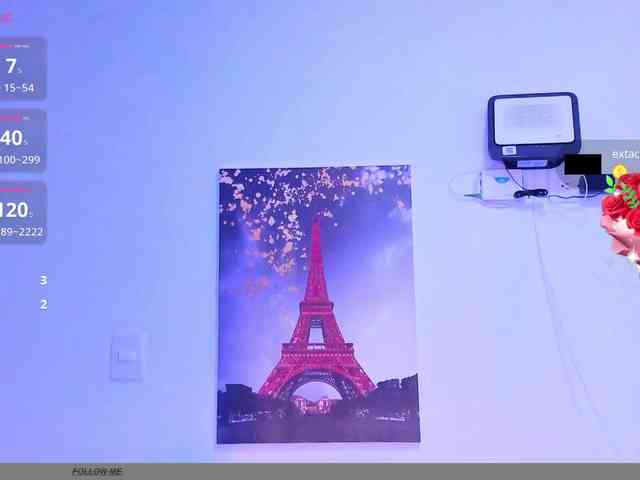 MaggieBrown webcam