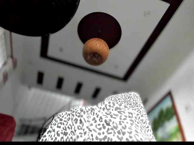 Malisha8 webcam