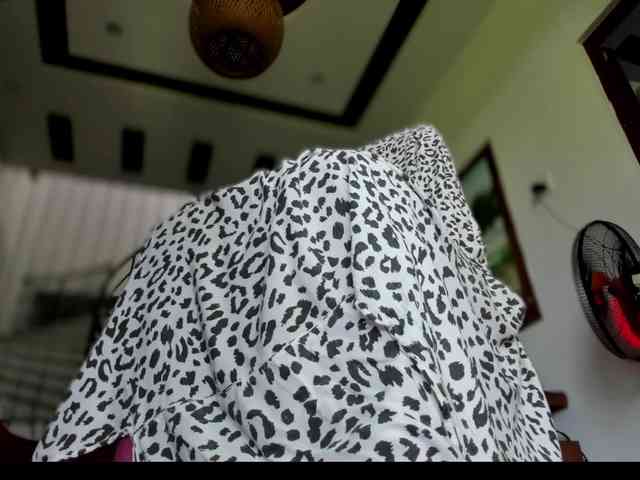 Malisha8 webcam