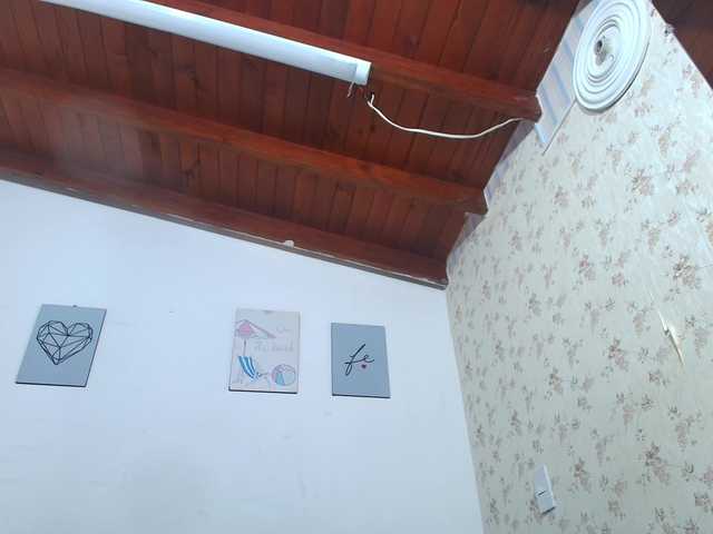  Pao- chat room