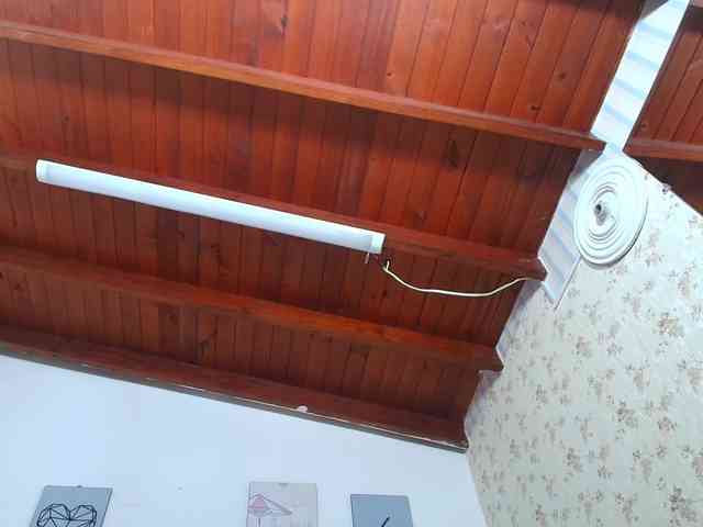 Pao- webcam
